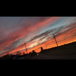 Meet your Posher, Annie